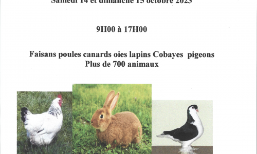 affiche-expo-2023